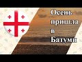 Осень пришла в Батуми (Autumn has come to Batumi) 2020.