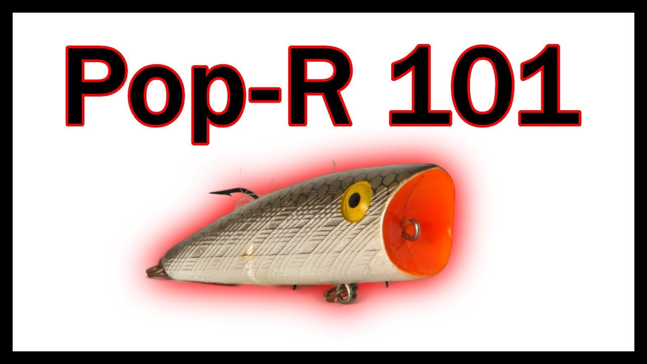 How to Fish a Pop-R  Fishing For Beginners 