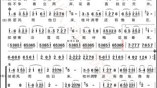 梅花赋 梦苇、李军