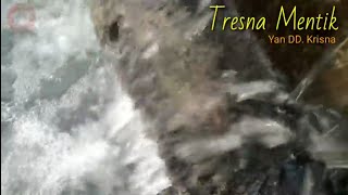 TRESNA MENTIK YAN DD KRISNA  diiringi suara air persawahan