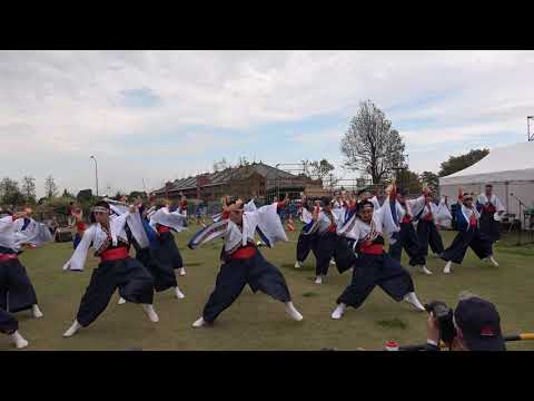 聯・新港中央広場－第４回横浜よさこい祭り