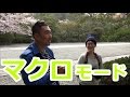 【初心者】桜がキレイに撮れる!マクロモードをプロが解説【一眼レフ】