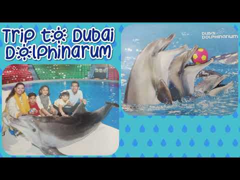 Trip to Dubai Dolphinarum || Dolphin show in Dubai Creek Park || Vlog by Gohar n mom