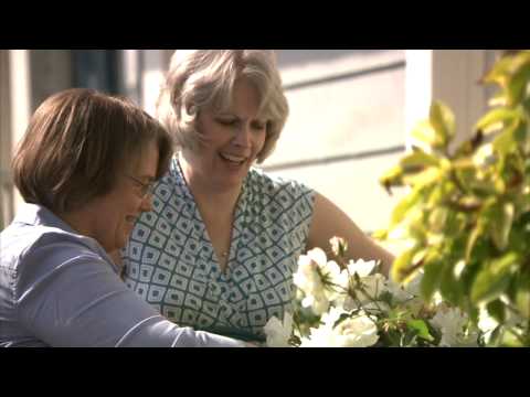 Frances & Cynthia: New TV Ad to WIN MARRIAGE BACK