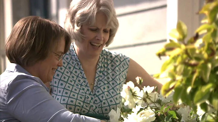 Frances & Cynthia: New TV Ad to WIN MARRIAGE BACK