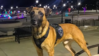 K-9 officer and fugitive killed in shooting