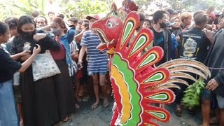 Pitik Pitikan Jaranan Sumber Arum Sido Muncul  Kramat
