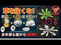 99%の家庭菜園が知らない 】お酢に'これ'を2つ足すだけ。頑固な多年草が4時間で白枯れする黄金配合。今すぐ台所を確認してください。