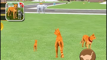 Cat Family Simulator 2021 - Gameplay Walkthrough #5