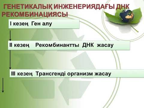 Бейне: ДНҚ клондау векторы ретінде әдетте не қызмет етеді?