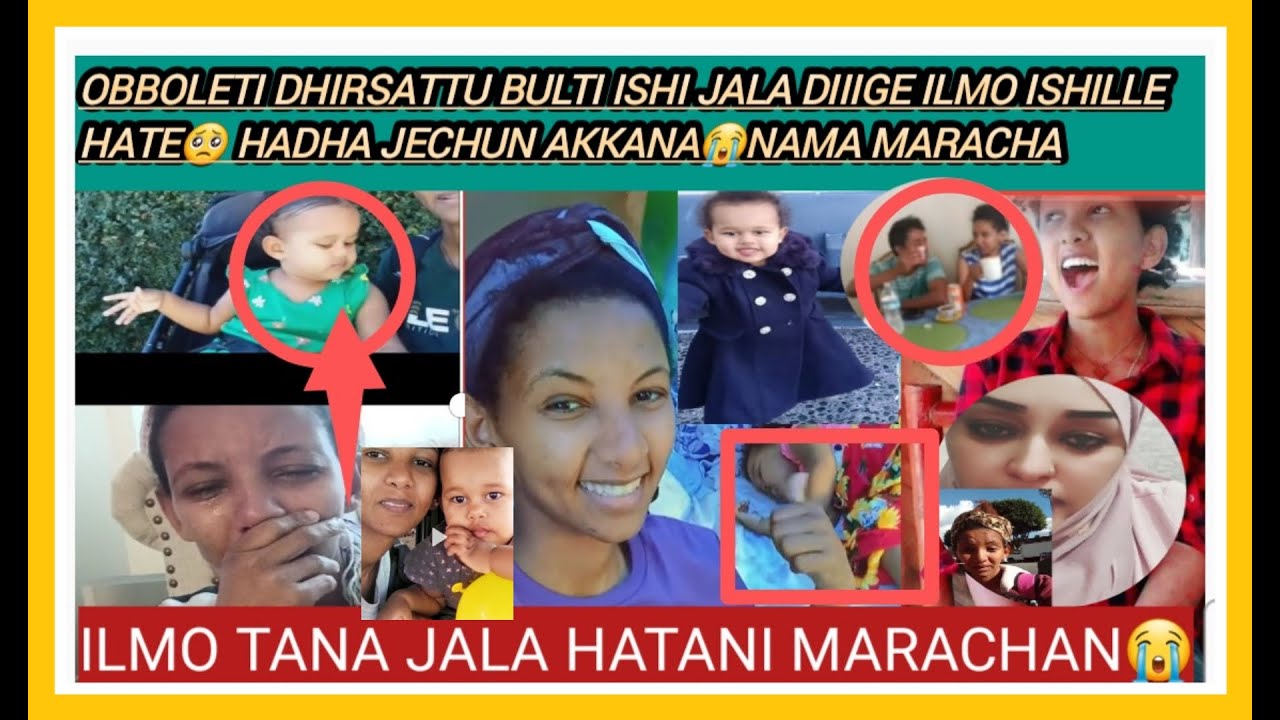 #Jaarti_Taaju_shurube Fakkata senan ishi G.4dura ilmo jala hatani Haala ...