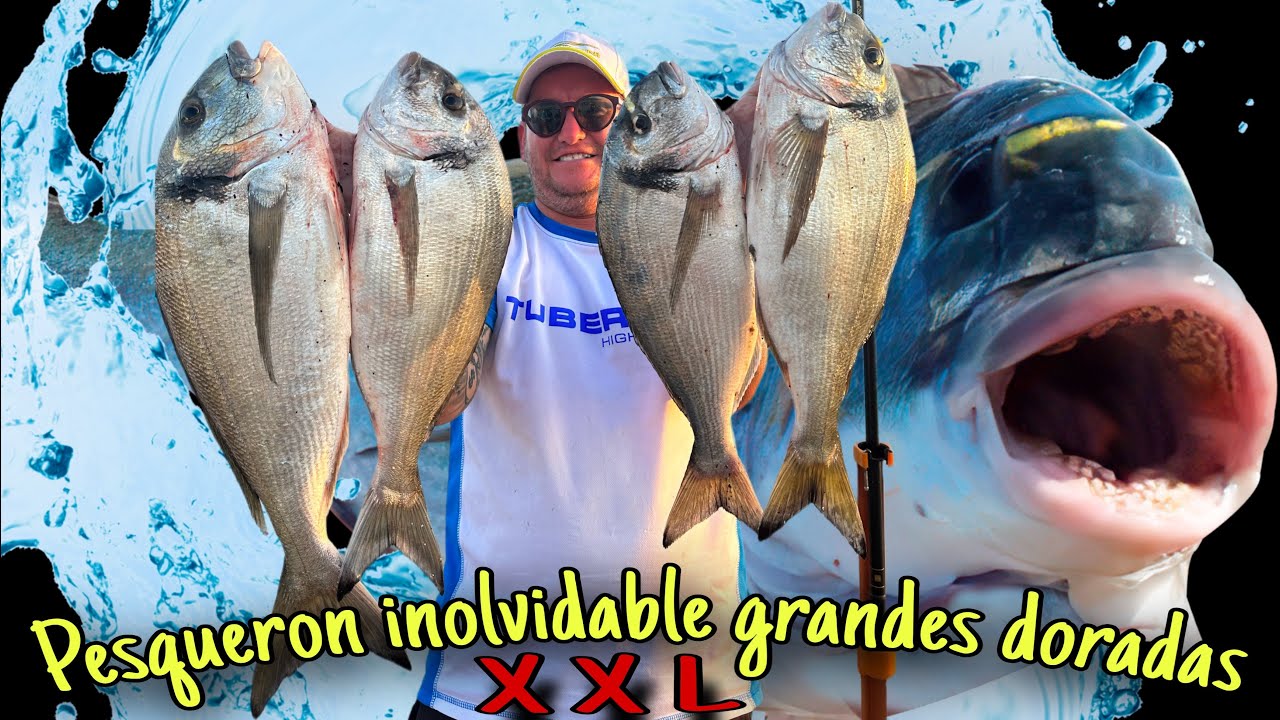 💥UN PEZ ME LLEVA 100 METROS POR LA PLAYA INCREÍBLE➕POKER DE DORADAS GRAN PESQUERON SURFCASTING 💥