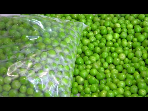 How to store Green Peas| Preserve Green Peas | Frozen Peas| Frozen Matar | फ्रोजन मटर