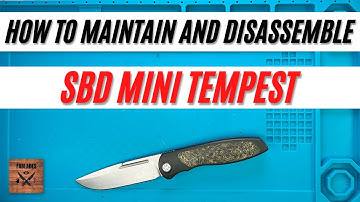 How to Maintain and Disassemble SBD Mini Tempest. Fablades Full Review