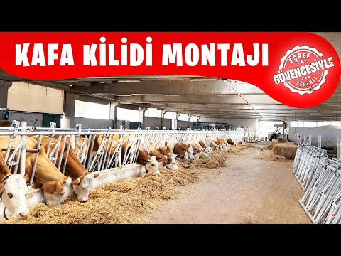 KAFA KİLİDİ MONTAJI