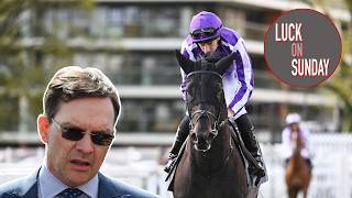 Aidan O'Brien: Albert Einstein Greenham performance & where the horse will go next | Luck On Sunday