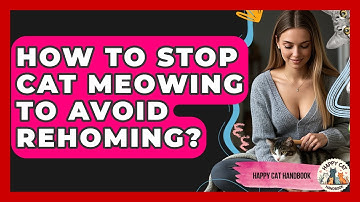 How To Stop Cat Meowing To Avoid Rehoming? - Happy Cat Handbook