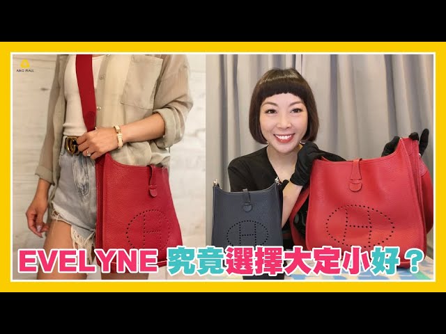 Hermes Evelyne Pm I Shoulder Bag Authenticated By Lxr