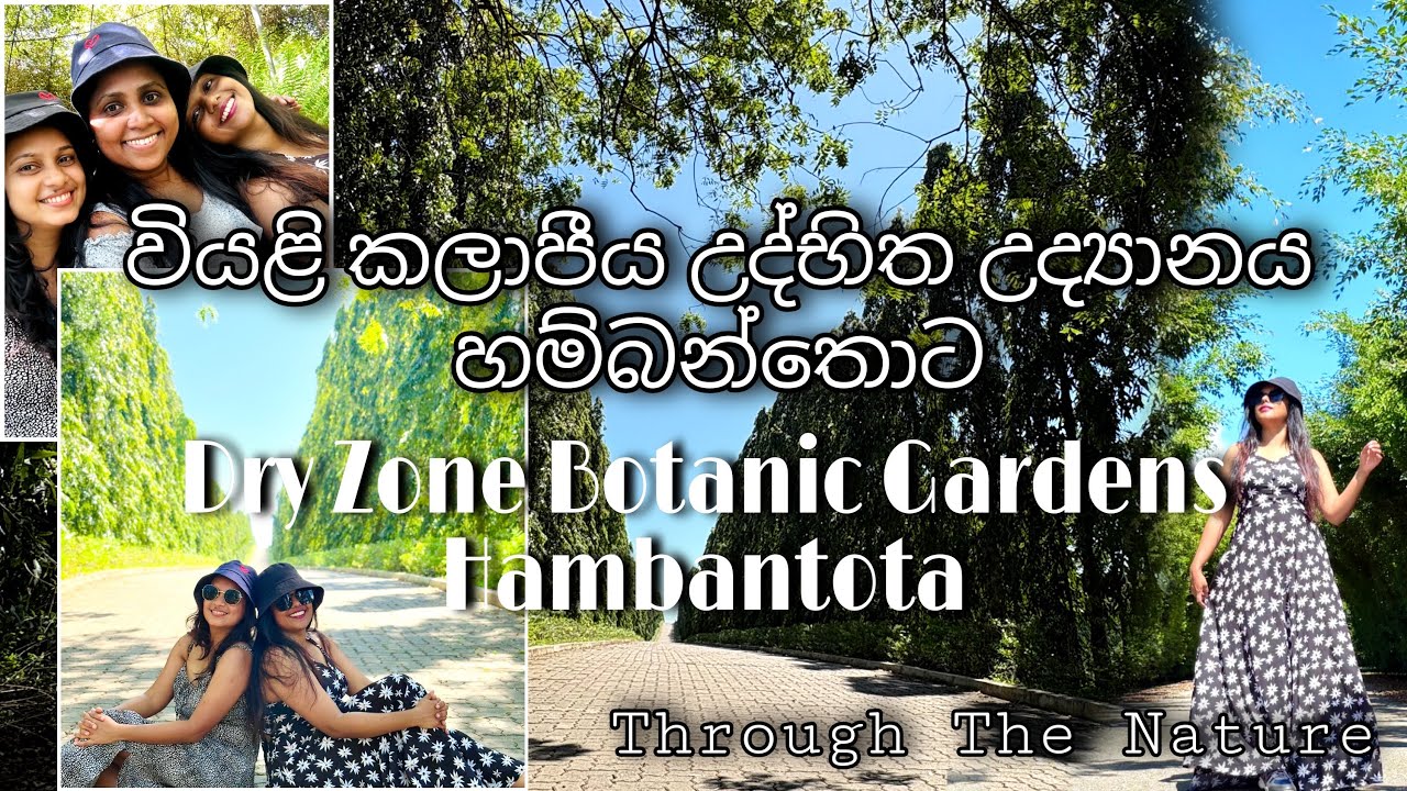Dry Zone Botanic Gardens|Hambantota🍂වියළි කලාපීය උද්භිත උද්‍යානය|හම්බන්තොට @ThroughTheNature-k2n 🌿🌼