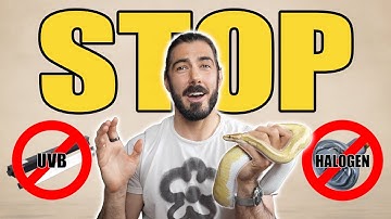 STOP Using THESE for Ball Pythons! (The Real Data)