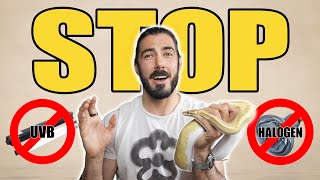 STOP Using THESE for Ball Pythons! (The Real Data)