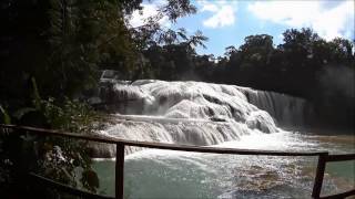 Водопад Агуа Азул (Cascadas de Agua Azul) Mexico