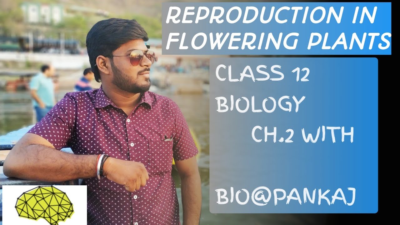 Biology class 12 chapter 2 (part 1) - YouTube