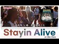 🎉 Stayin Alive (스테잉 얼라이브) - Bee Gees (비 지스) 가사 有  🎶 [라라 이승희]