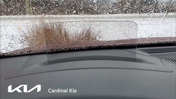 CK - 2021 Kia Seltos - How To Use Your Heads-Up Display!