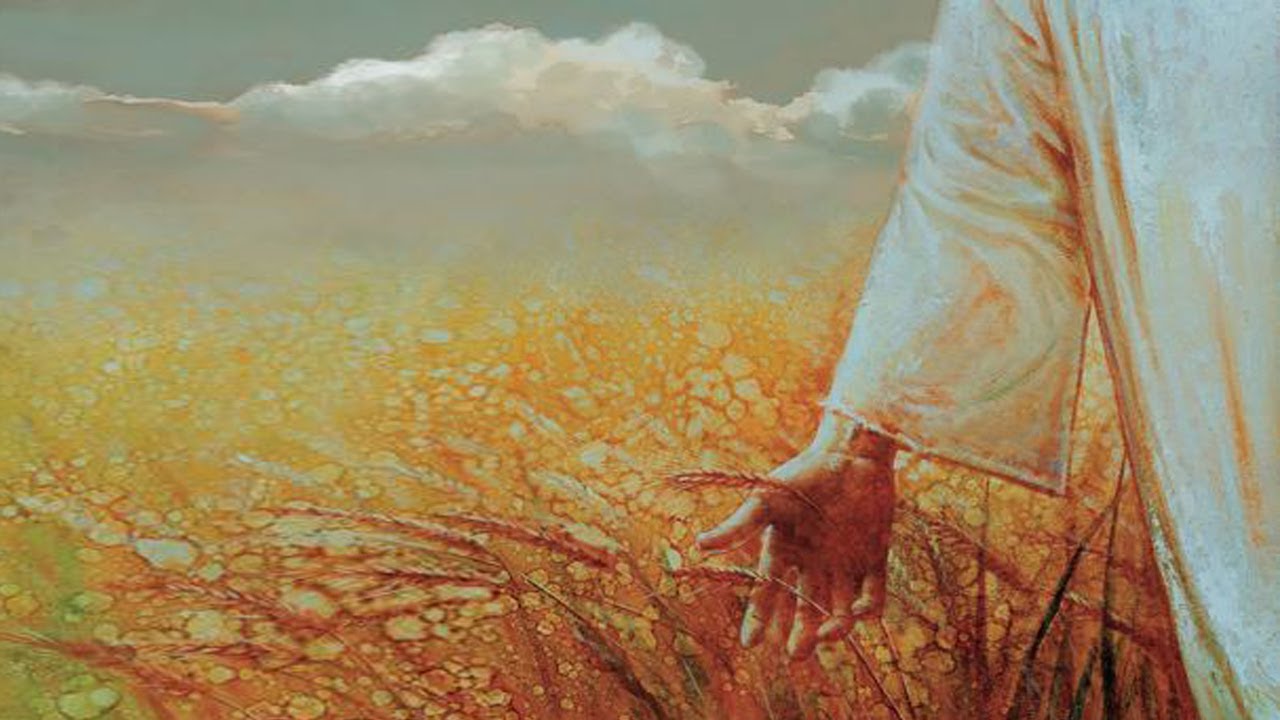 عقلية الحصاد المتنوع