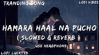 !! HAMARA HAAL NA PUCHO !! ( SLOWED &amp; REVERB ) !! LOFI VIBES !! USE HEADPHONE !!
