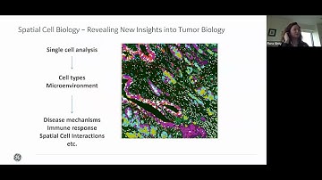 Finding Order in Chaos: Advancements in Tumor Heterogeneity using Spatial Proteomics