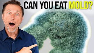 “Mold and Your Health: The Shocking Truth | The Nutrition Institute”