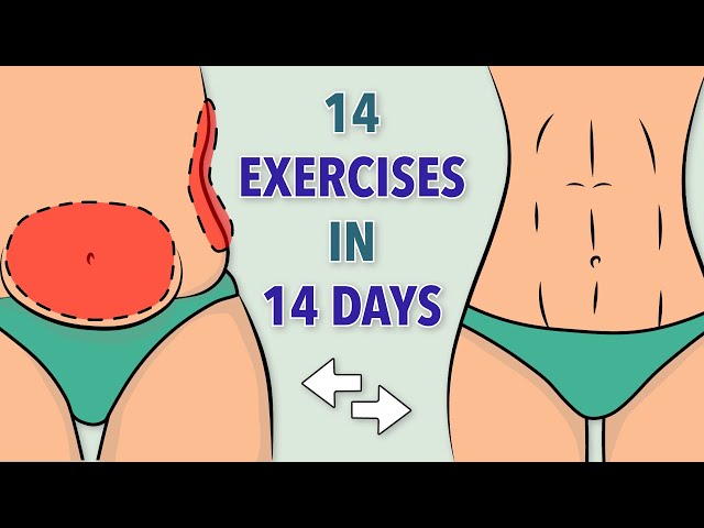 SLIMMER WAIST in 14 Days (lose belly fat)