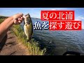 夏の北浦　探す遊び