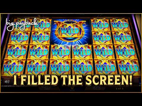 A FULL SCREEN of WILDS on King Khufu!