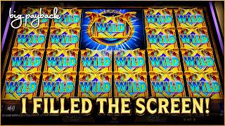 A FULL SCREEN of WILDS on King Khufu! screenshot 5