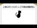 9割が知らない雑学[32]#雑学 #豆知識 #トリビア
