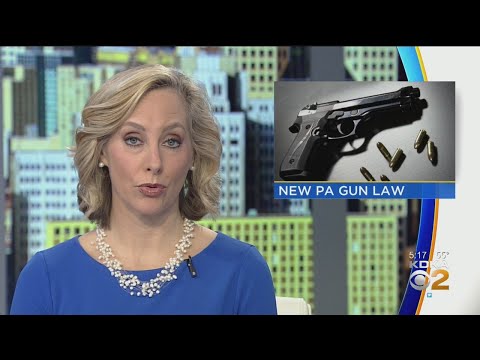 pa.-gun-law-requiring-convicted-abusers-to-turn-over-guns-goes-into-effect