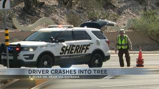 Driver hospitalized after crashing into tree