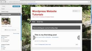 Setting up your Wordpress Site - Writing Your First Blog Post