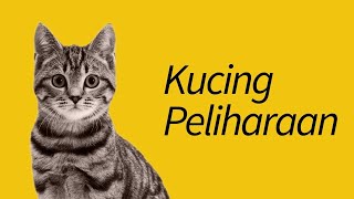 10 Jenis Kucing Peliharaan—#3 Kayak Anjing!