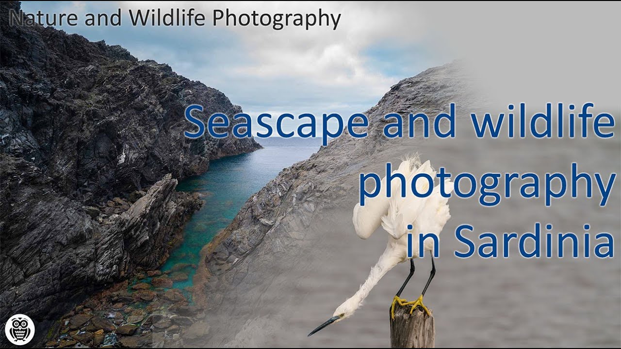 Seascape and wildlife photography in Sardinia