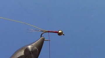 Fly Tying with Ryan - Frenchie Nymph