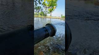 🌾 “Gaon ki Mitti, Sona Ugalti Kheti”#viral #trending #shorts #farming #video #farm #farming