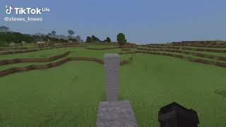 #minecraft​ #meme​ #memes experiment v25