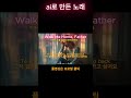 아버지와 걸었던 그 길이 그리운 밤