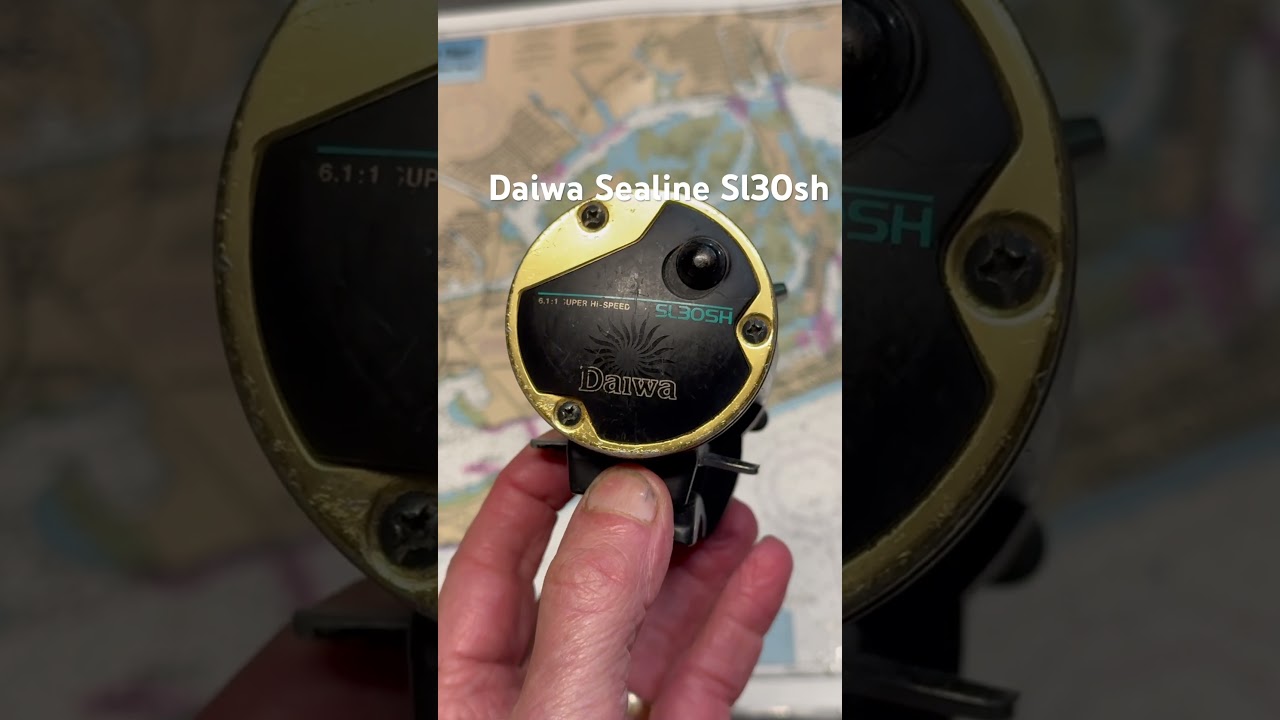 Daiwa Sealine SL30SH fishing reel for the day #fishing - YouTube