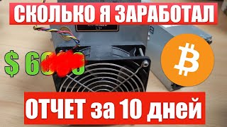 Сколько заработал за 10 дней МАЙНИНГА на асике L3+ | Окупаемость асика