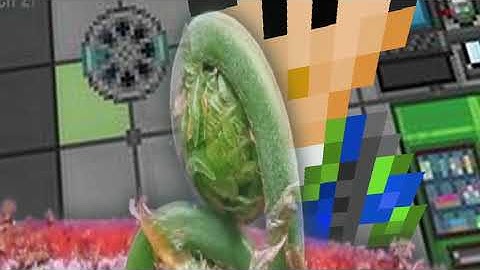 SS13 PLANT GROWTH TIMELAPSE